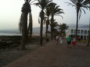 bild(33)